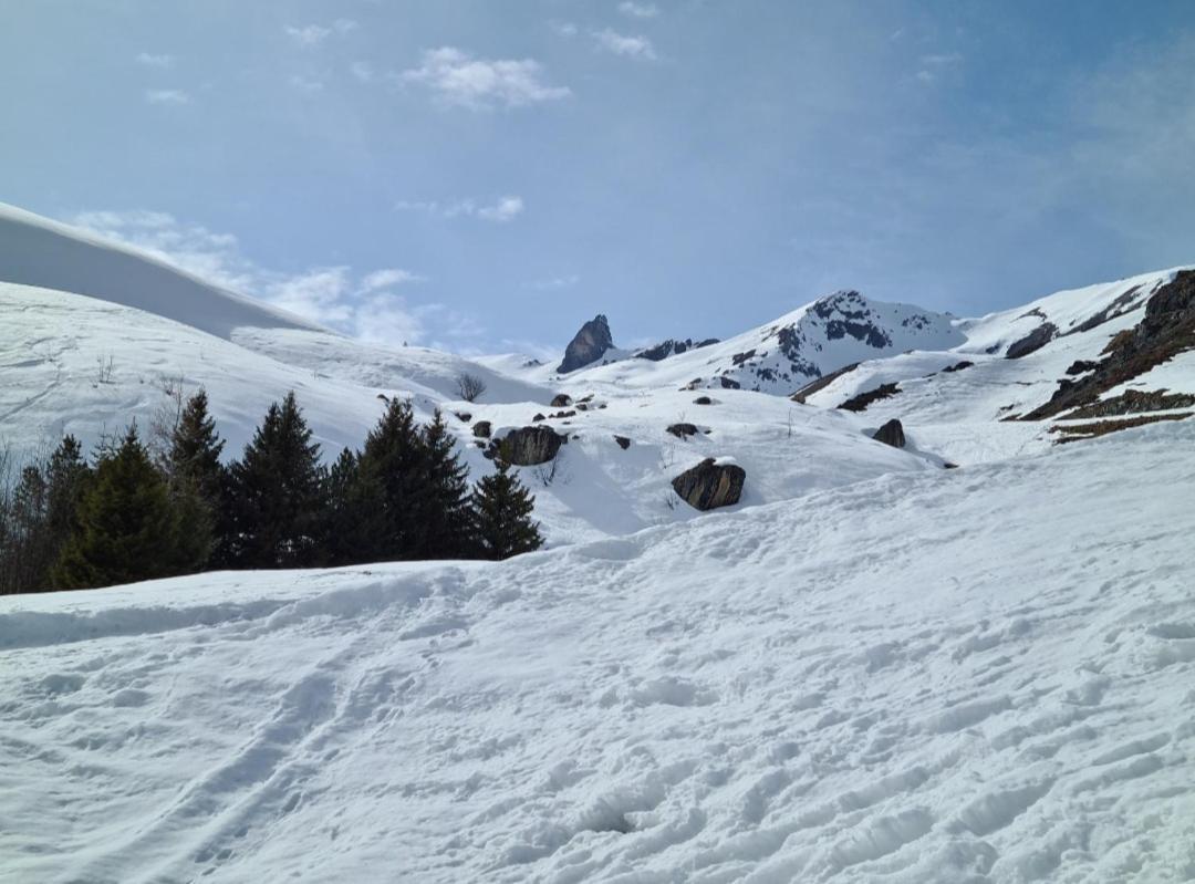 Fewo D'Rock Arosa- Center Of Nightlife By Nature Apartments Switzerland Exterior photo